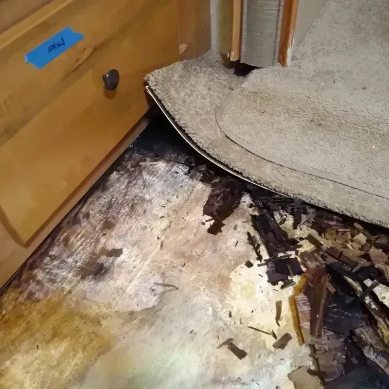 Wood Floor Water Damage in Warren County, MO